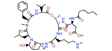 Cyanopeptolin C